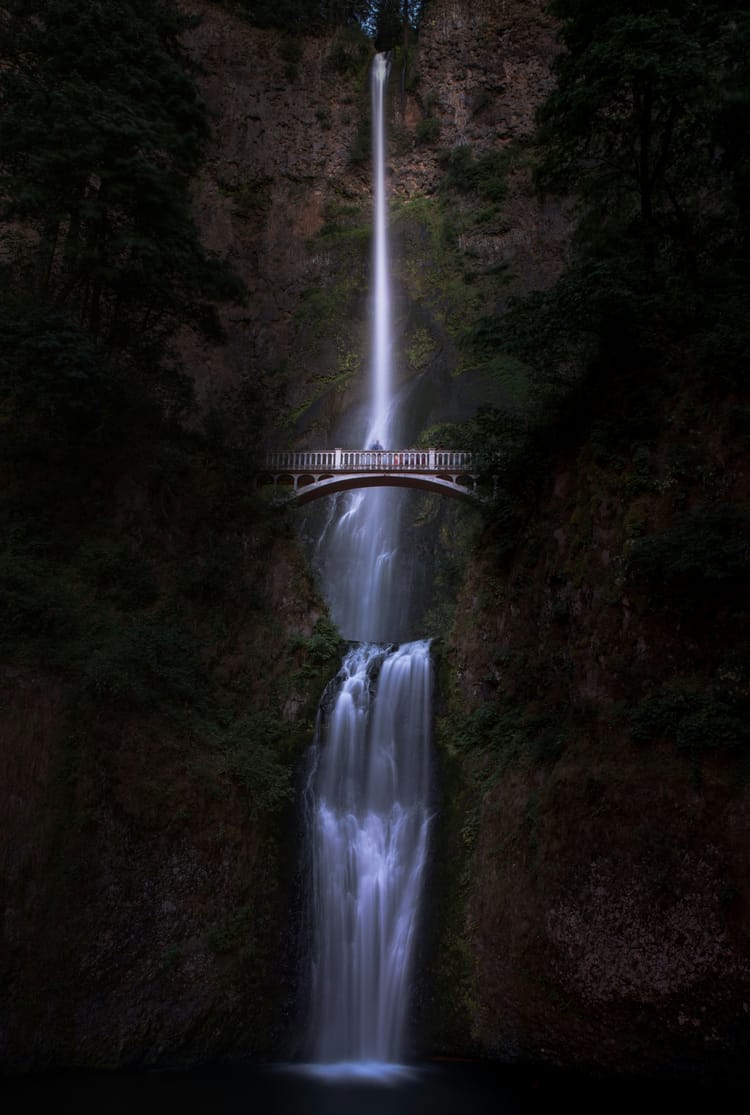 Portrait Cover Middle